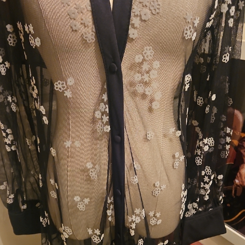 Chic Black Floral Embroidered Long Sleeve Sheer Maxi Dress - Picture 3 of 10